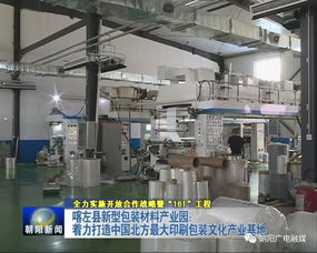 年產值20億元包裝產業園崛起，26家包裝印刷廠共筑產業新高地