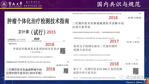 如何做好二代基因檢測的準(zhǔn)備工作及深度解讀結(jié)果，指導(dǎo)惡性腫瘤個體化靶向與免疫治療